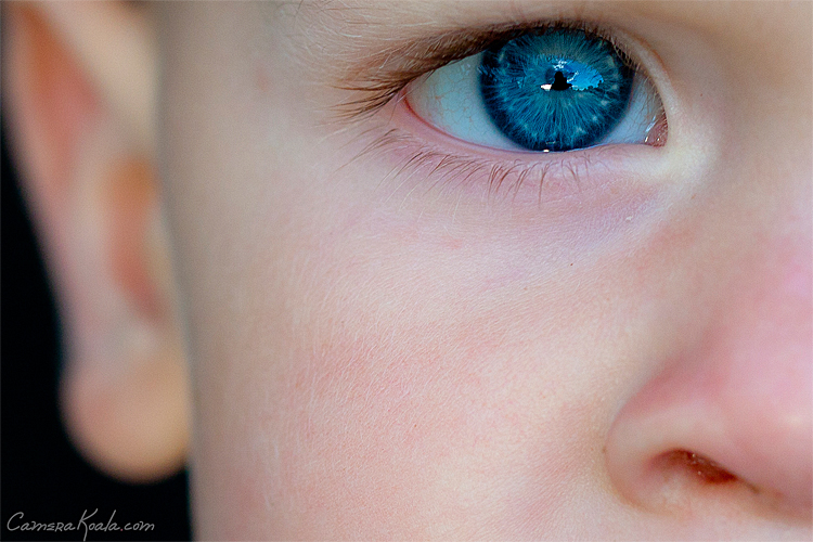 8-21-11_Baby_Blues