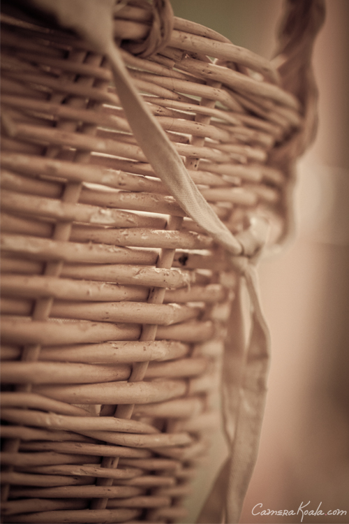 10-17-11_Lightroom_Hamper