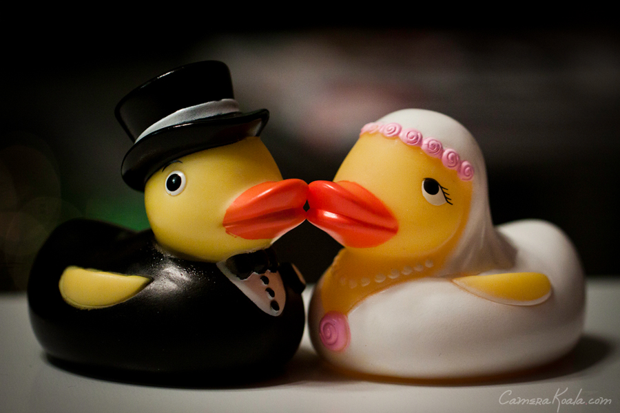 1-13-12_National_Rubber_Ducky_Day
