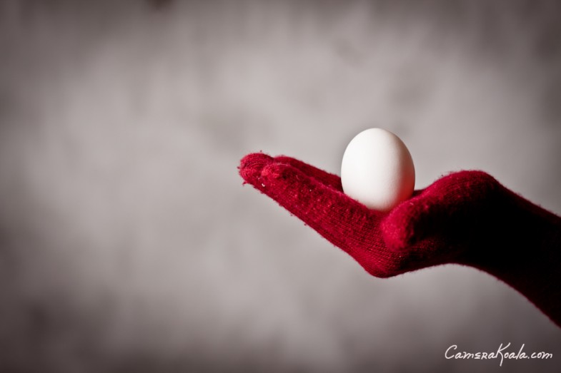 _3-30-12_Eggs