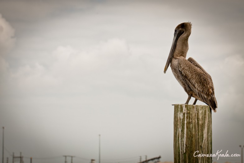 _4-16-12_Port Canavral, FL2